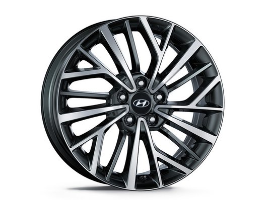 Аксесуари для автомобілів Hyundai у м. Житомир | Богдан-Авто Житомир - фото 32