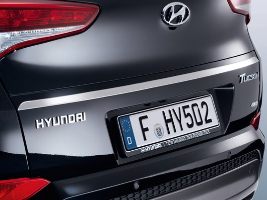 Аксесуари для автомобілів Hyundai у м. Житомир | Богдан-Авто Житомир - фото 18