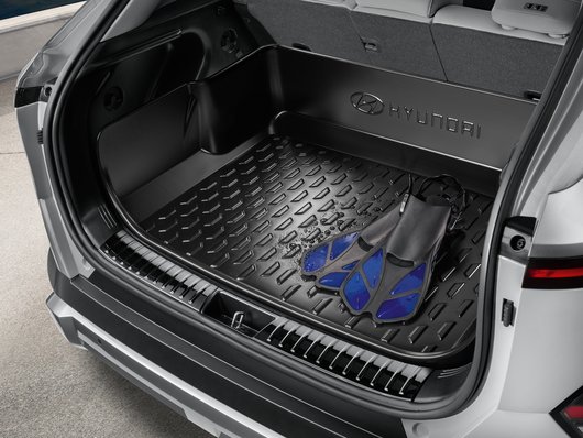 Аксесуари для автомобілів Hyundai у м. Житомир | Богдан-Авто Житомир - фото 11
