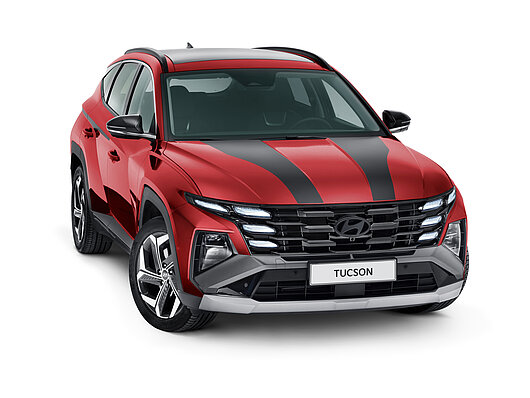 Аксесуари для автомобілів Hyundai у м. Житомир | Богдан-Авто Житомир - фото 19