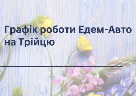 Автосалон Хюндай в Житомирі. Купити Hyundai за ціною автоцентра Хюндай Моторс Україна - фото 11